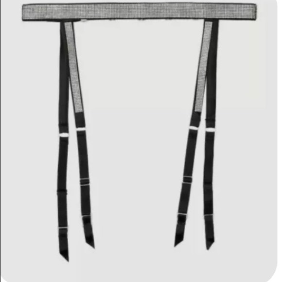 Victoria's Secret bling garter belt M/L and
bling fringe panty Size Large! - Picture 4 of 12